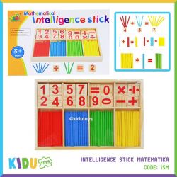 Intelligence Stick Matematika - ISM